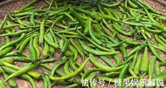 辣椒|它一年四季不贵，多买些晒一晒，密封一存，放2周再吃，太下饭了