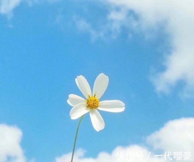 |幽默小句子，皮到没朋友