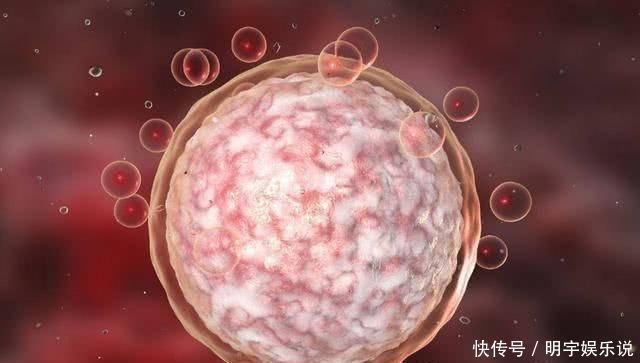 精子|如果卵子没遇到精子,那么排出的“卵子”去了哪里害羞也看完