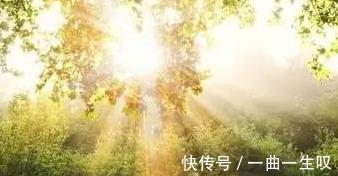 泡脚|坚持养生3件事,或可帮你“早上养胃,中午养心,晚上养百脉”