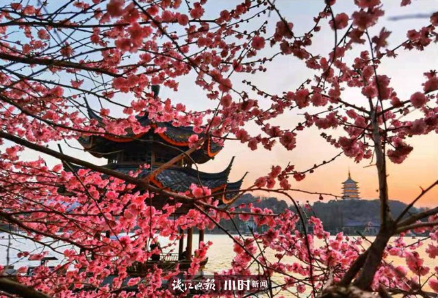 开工第一天 满目春色入镜来，摄友说我们每天都“开工”