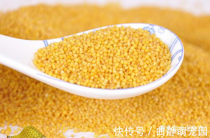 小米粥|你有多久没睡个好觉了？这碗“助眠粥”，让你到头就睡一觉到天亮