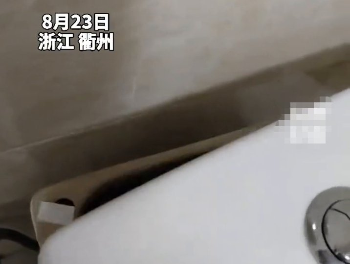 厨房|马桶放入洁厕灵厨房水变蓝 男子：一直在喝厕所的水？