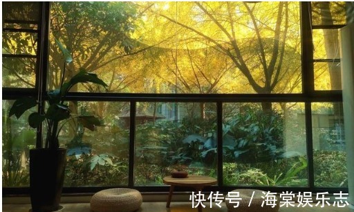 院子|一楼带院的房子到底值得买吗内行指出4点“硬伤”，别买错后悔