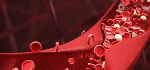 枸杞|早上空腹吃一把红枣,坚持半月,或许4个好处不请自来