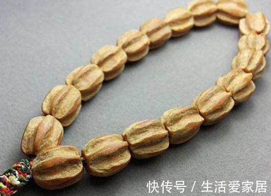 一地|这种野果子以前掉一地都没有人捡,现在才知道它的价值珍贵