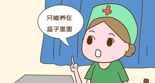 妈妈|连生了三个“瓷娃娃”养在盆里,妈妈想拼四胎,网友:千万别生