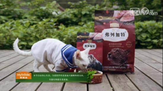 弗列加特|倪萍老師成爬山最大阻礙？《你好生活》上演“奪筍大戰(zhàn)”