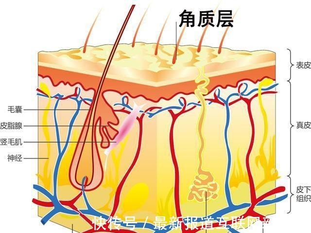 保湿 补水保湿，选对护肤品，让你皮肤水当当~！