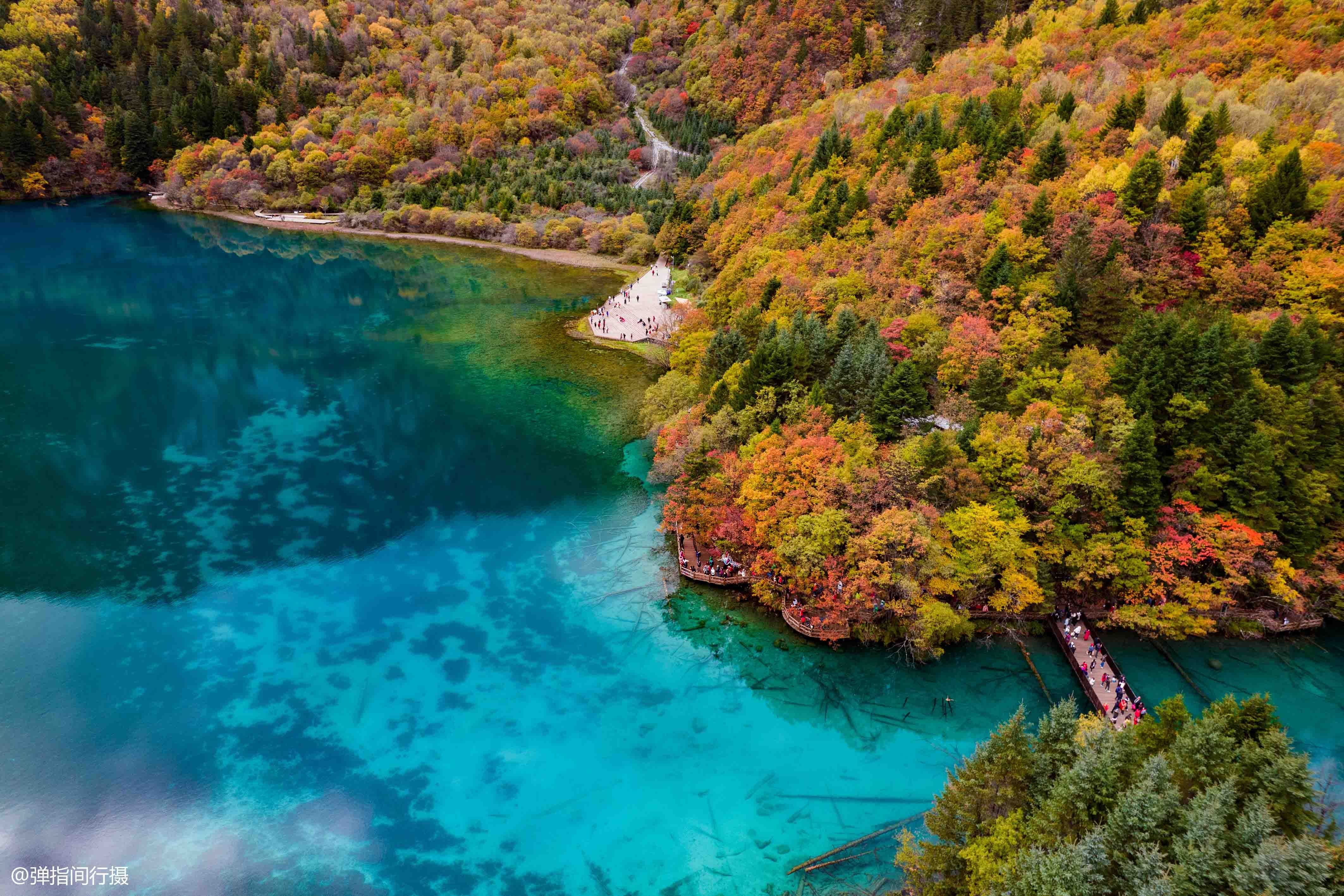 九寨|九寨沟最“仙”的景点：秋色宛如彩色梦境，堪称“九寨沟一绝”