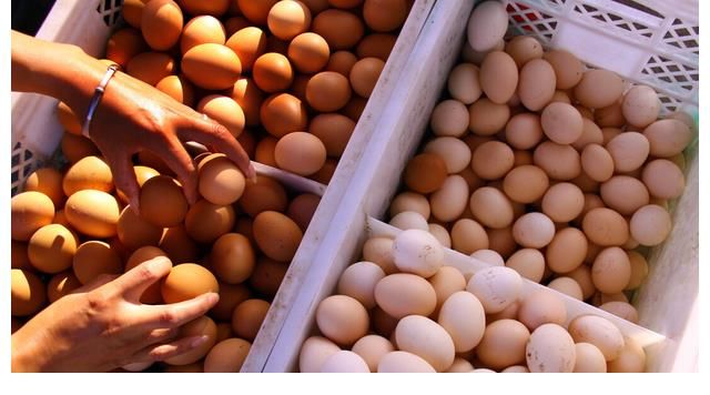 鸡蛋要不要放冰箱？分享一种保存技巧，简单实用，鸡蛋久放不易坏