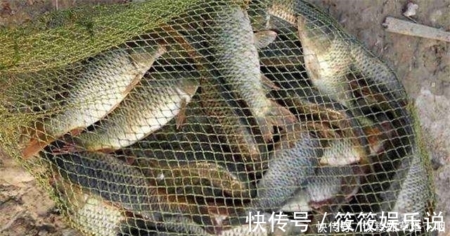 冬季钓鱼改掉“懒”字,学会“勤”字,爆护才是必然的