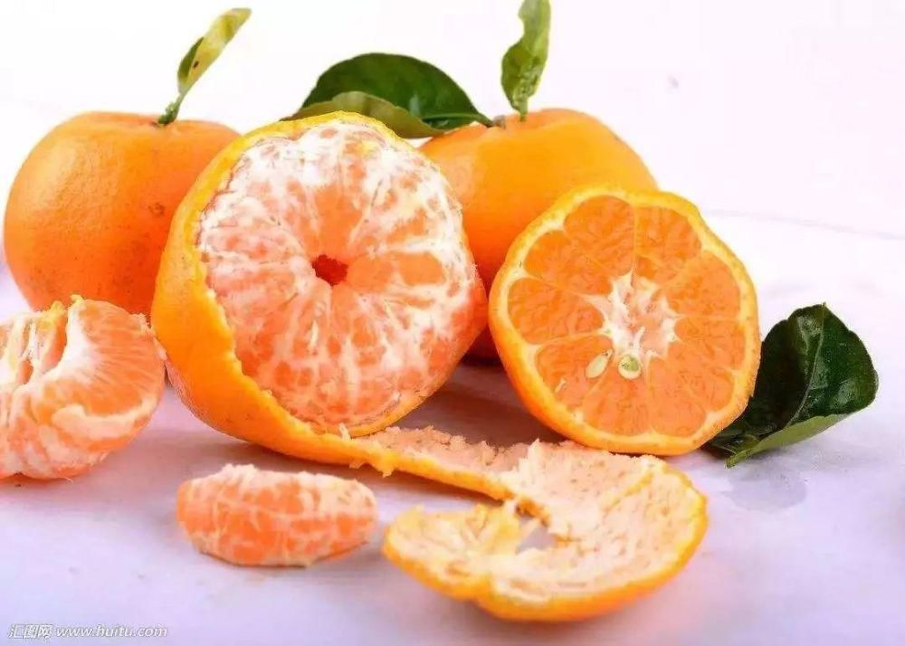 老花匠:扔4种“东西”,就是扔钱,比花肥还好用,不花钱!