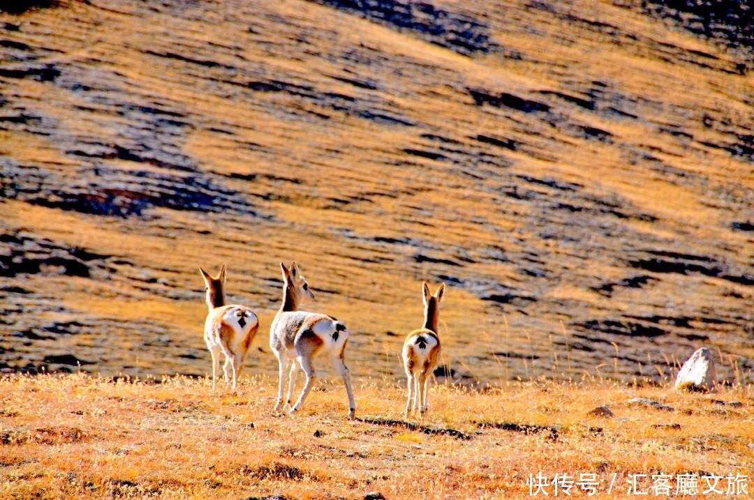 《邂逅柴达木》,一条去了能吹一辈子的越野路线!