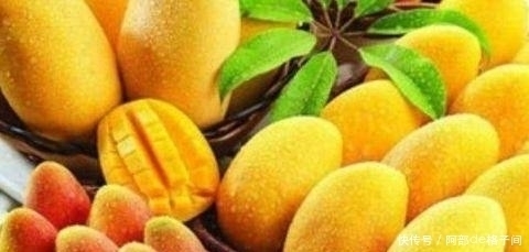 水果|假如给你一千万,这五种水果让你连吃一年,你愿意吗?