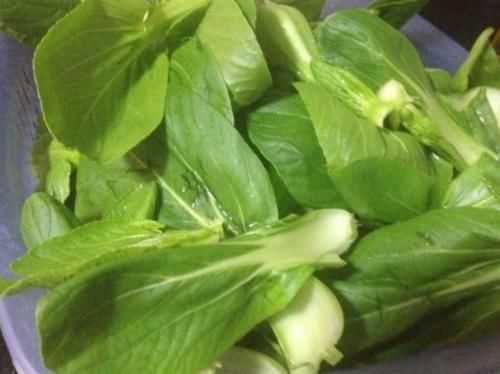 猴头菇|“偷走”孩子身高的2种调料,医生:多数父母喜欢喂