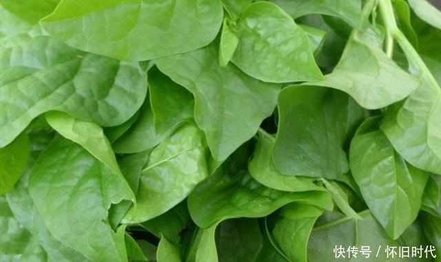 人参菜含|此菜是女性的“黄体酮”,每天吃一点,通乳散结,皮肤更有弹性