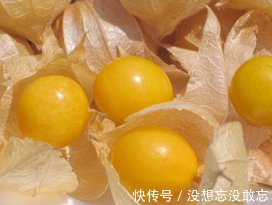 老太|女性不想老太快，可多吃此果，改善貧血，淡化色斑，皮膚更紅潤