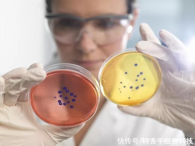 干细胞|干细胞疗法对糖尿病相关病变的临床试验