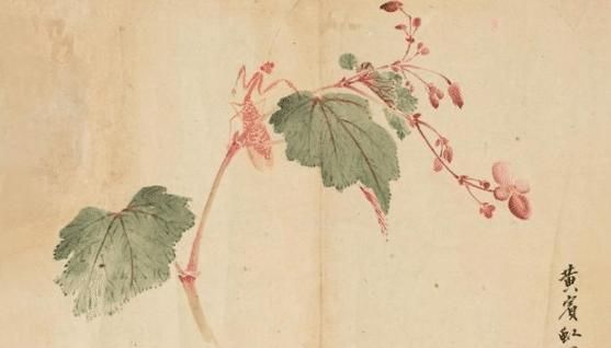 专家|他的画曾1元一幅没人要,如今一幅卖出3亿,专家们悔青肠子