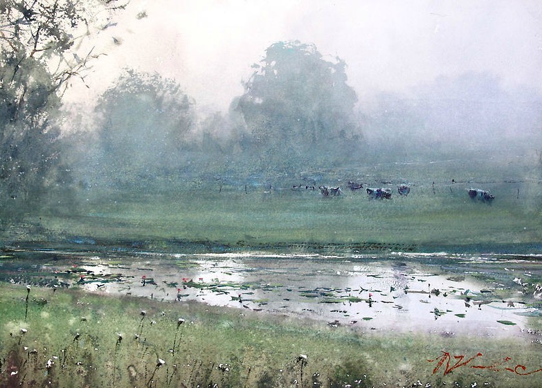 艺术家@雾里看花,澳大利亚水彩艺术家科维奇的作品,很是美!