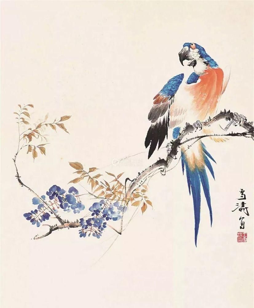 花鸟画|写意花鸟画初学者不要一味追求笔墨!!!