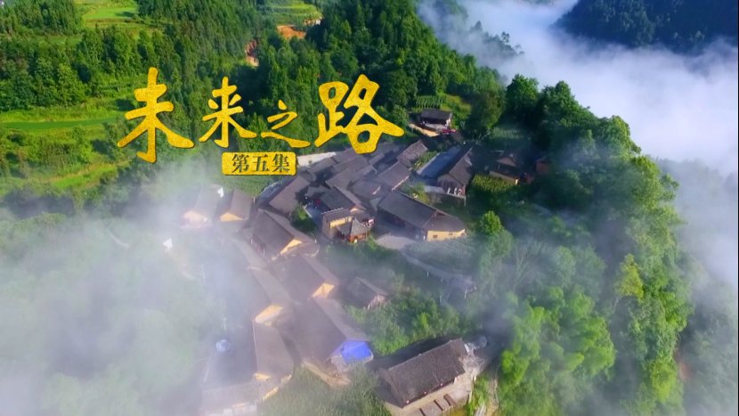 《从十八洞出发》今晚收官！未来之路应该如何走？