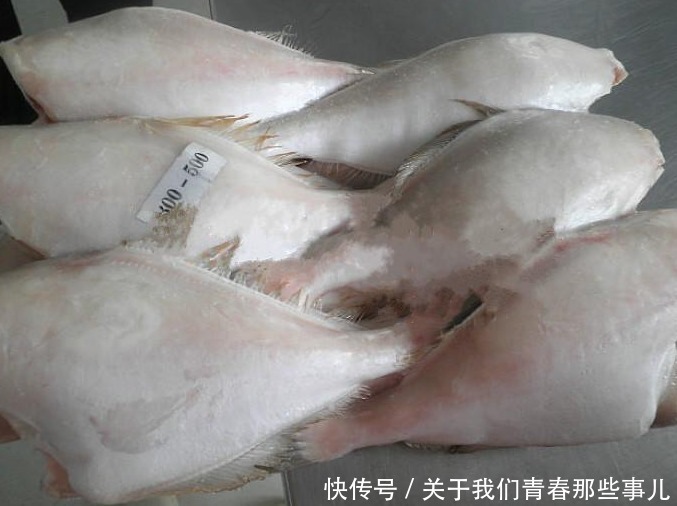 马面鱼|这种鱼“没脸没皮”，价格低廉，很多人看不上，懂行的人经常买