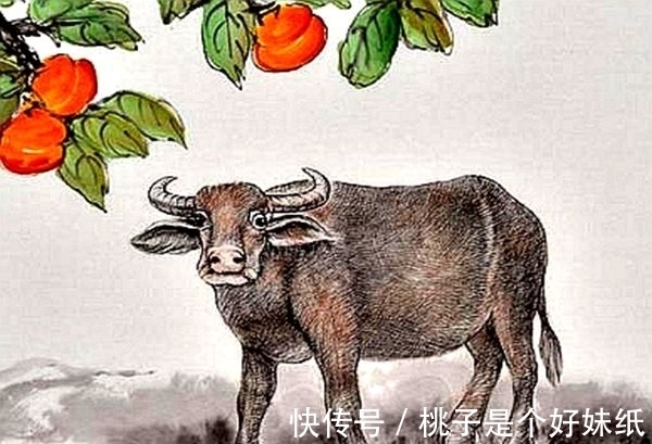 属相|好运开启,人生越来越幸运的3大生肖!八方聚来厚财