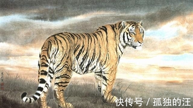 运势|未来5周,3生肖万福顺财,佛光庇佑,财运旺盛,赚钱到手软