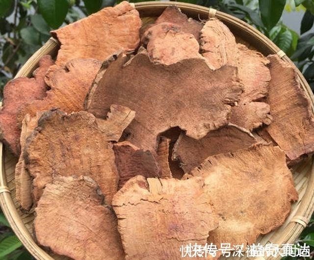 金刚藤|谁若铲除此物,请您收藏它的根茎,别怕笑话,目前26元一斤