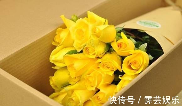 花花|喜欢玫瑰,就养盆“高档玫瑰”金香玉玫瑰,花开金灿灿,格外养眼