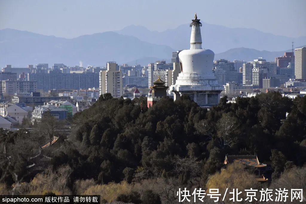 朱瞻墉|春风里听鸽哨，晴空下望白塔，京城专属“浪漫”！