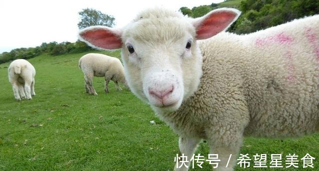 黑米|明天进三九,有钱没钱都要吃“冬补8宝”,美味营养足,温暖过冬!