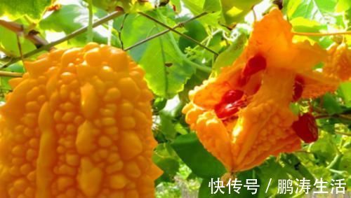 苹果酸|女性过了40岁老的快,要坚持吃3种食物,滋润肌肤,越活越年轻