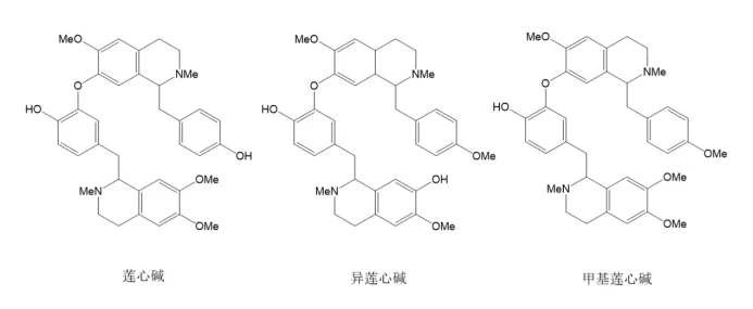 墙裂推荐（莲花的诗句）爱莲说 第7张