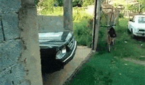 |搞笑GIF趣图:夫妻相相似度百分之九十九,好幸福哦