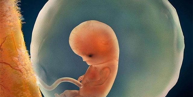 反应|怀孕后,从身体的这四个反应中,看羊水的质量好坏,孕妈要会辨别