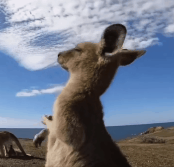 河洛|沉浸式探索综艺《登场了！洛阳》今日开播，汪涵携探索团寻河洛文明！