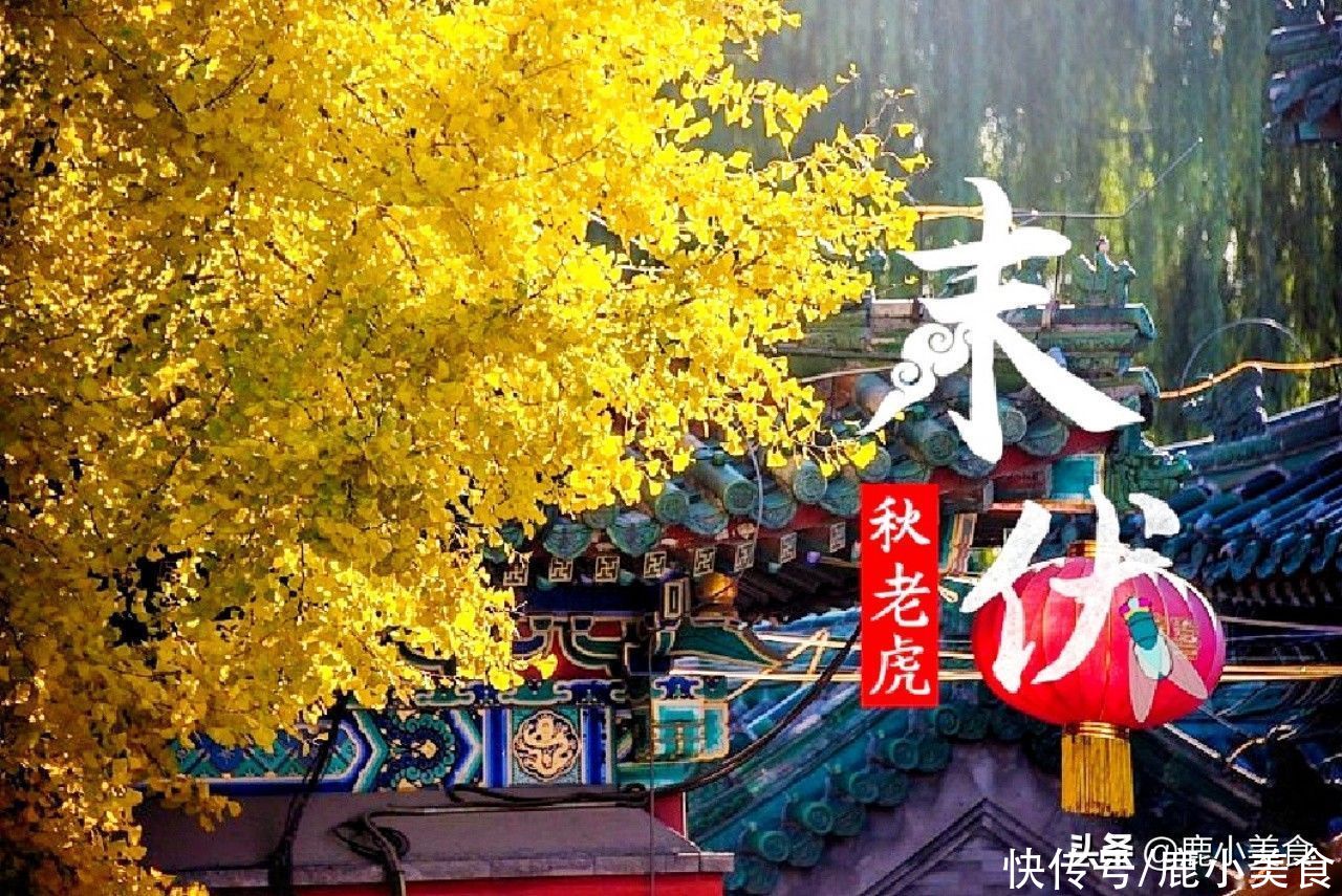 冬季|末伏也叫秋老虎，饮食上注意“7吃4不吃”，顺应而食，冬季少生病