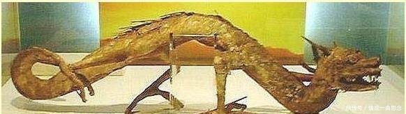 日本一寺庙宣称有真龙标本,但不让专家考证,原是我国农民发现
