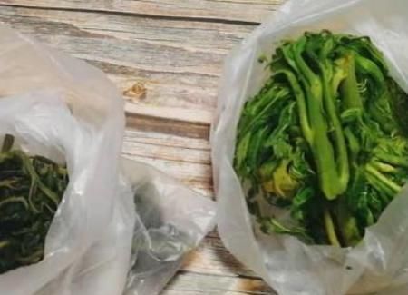腌香椿,香椿要不要焯水?十几年老方法教给你,放一年都脆嫩鲜香