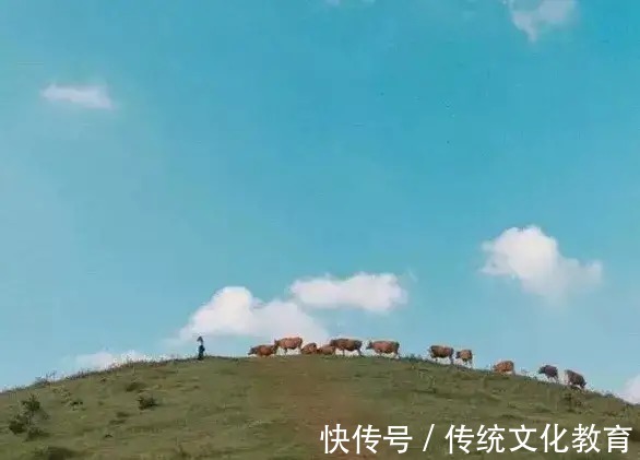 王佐良|功利性教育，让人丧自我和幸福的能力（深度好文）