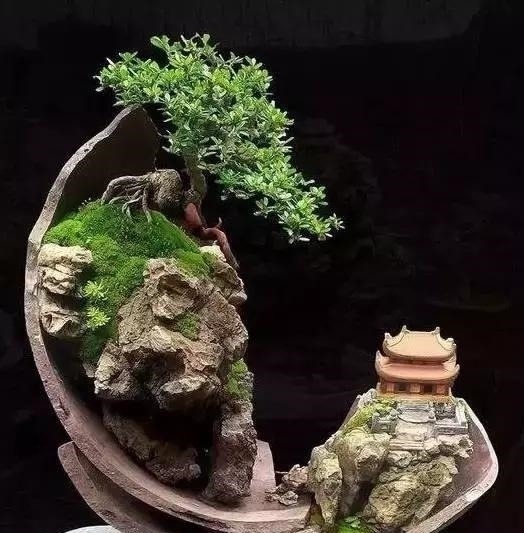 世界上又一奢侈品《盆栽》一盆就是一座房子!