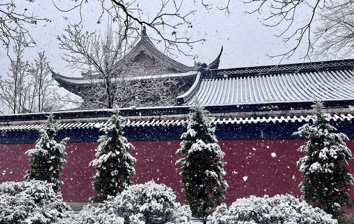 冰墩墩|我“盟”去看雪丨云上赏雪 杭州的美你get到了吗？