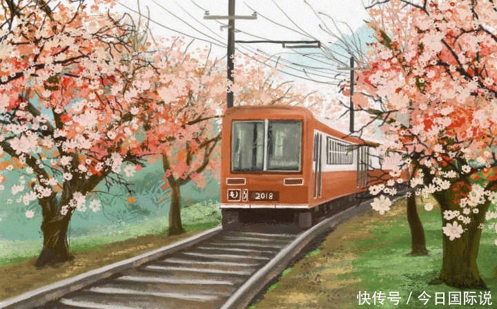 爆棚|“那些无关风月却仙气爆棚的短句”