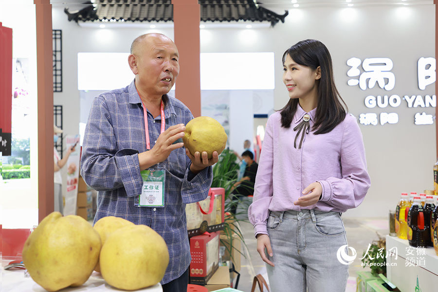 中药|走进国际（亳州）中医药博览会 感受传统文化魅力