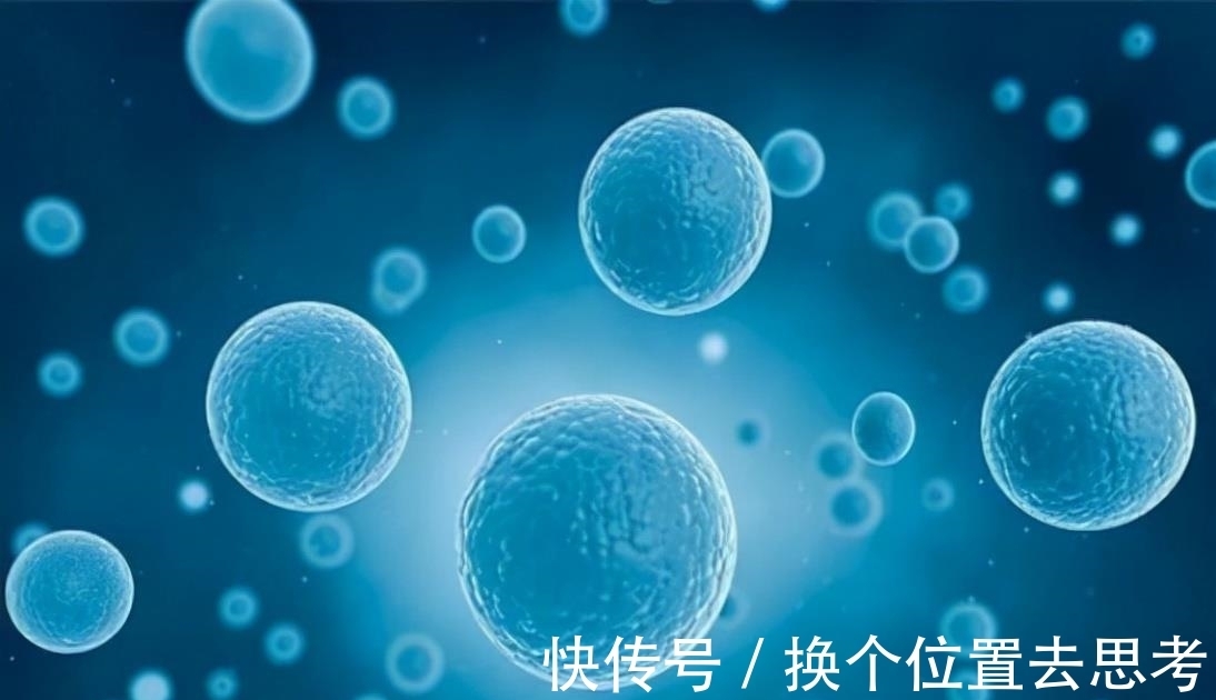 优质蛋白|更年期以及老年骨质疏松人群,该如何设计高钙饮食?今天告诉您