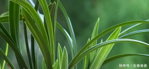 五种浇水方法,家里没人也不怕很好用的回家试试