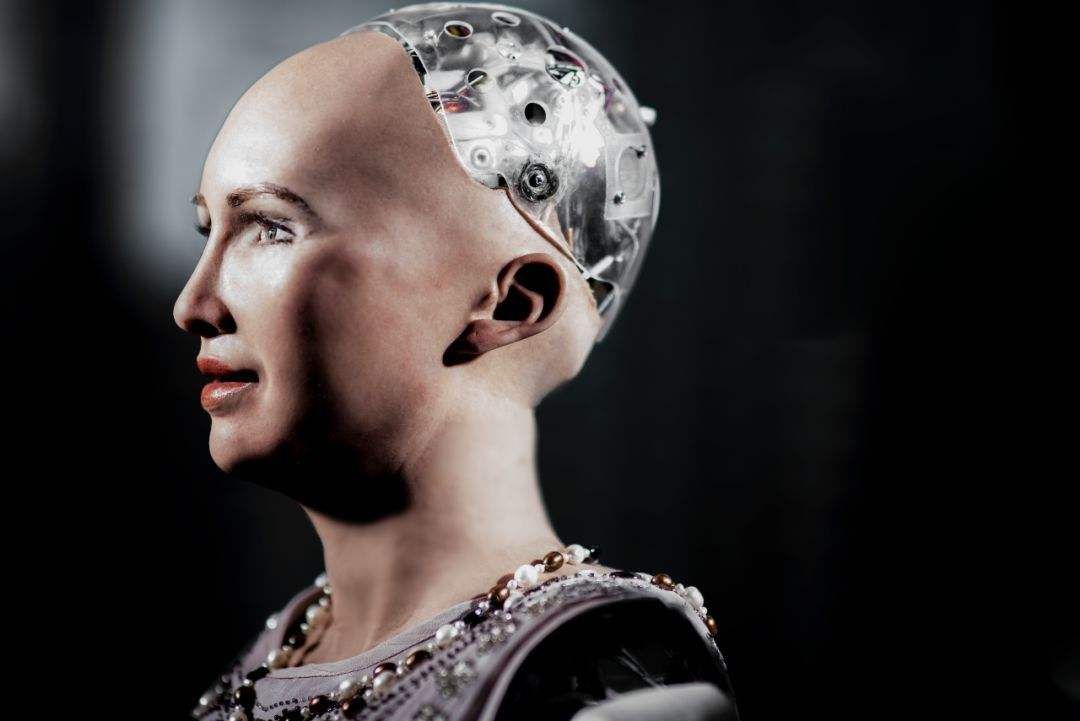 人类|机器人也能生娃？首个活体机器人成功繁衍，人类起源或有了解答